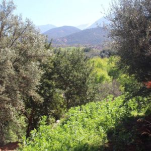 Randonnee haut atlas maroc destination evasion