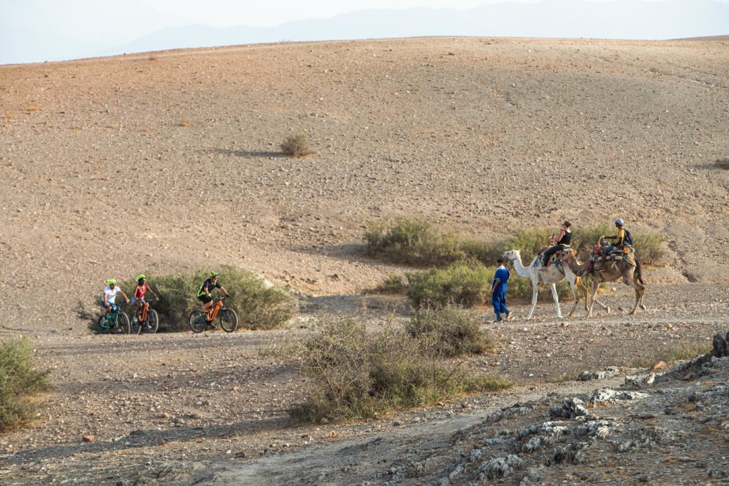 Riad à Marrakech et Lodge dans le désert d’Agafay