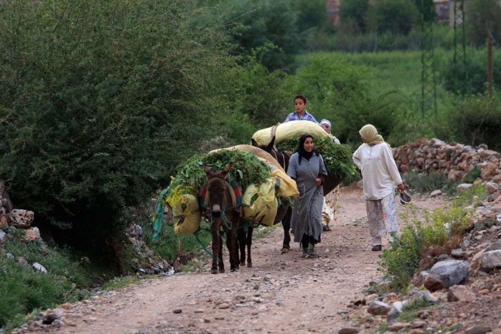 Séjour Famille dans le Haut Atlas Maroc