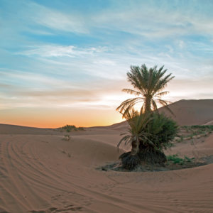 Temps du Sud Desert Sahara Maroc