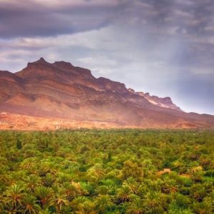 Temps du Sud Desert Sahara Maroc