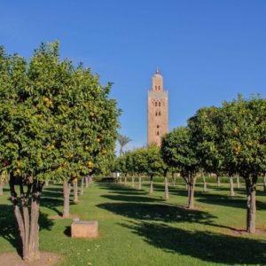 Visite des jardins de Marrakech