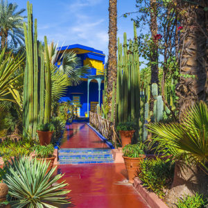 Visite des jardins de Marrakech