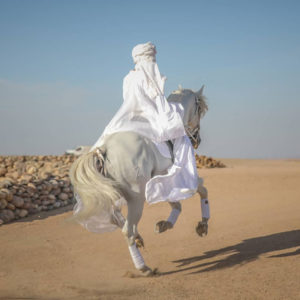 incentive voyage motivation entreprise maroc