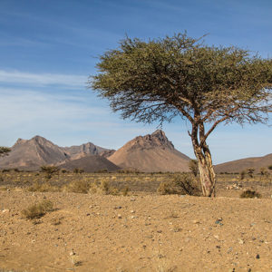 incentive voyage motivation entreprise maroc