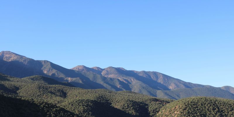 Atlas Mountain Family trip patrick-ogilvie