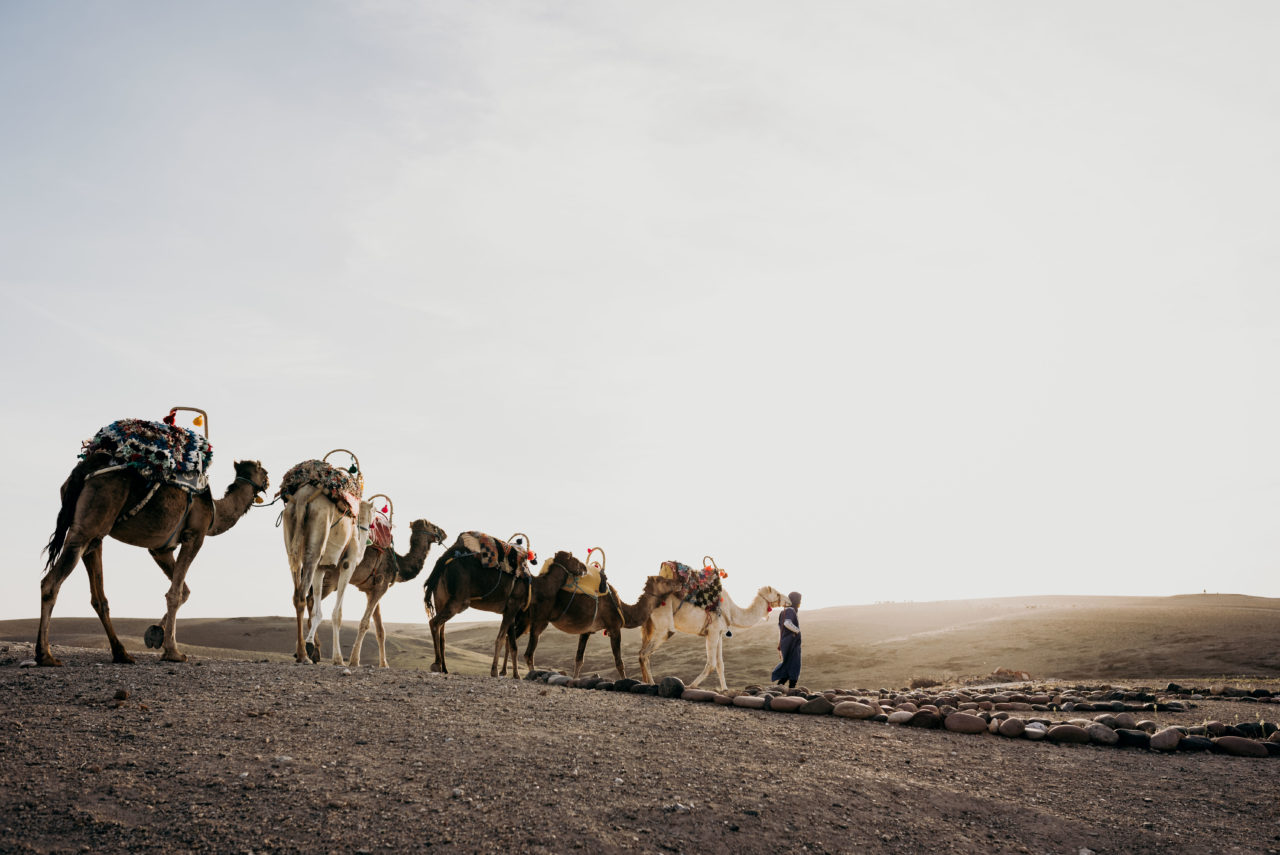 Balade dromadaire Medina Desert - Sophie Masiewicz Photographe