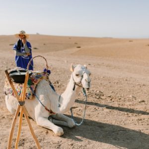 Package week end à Terre des étoiles