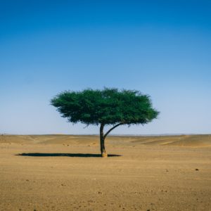 Sahara autrement Destination Evasion