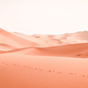 Les Temps du Sud circuit avec chauffeur Maroc