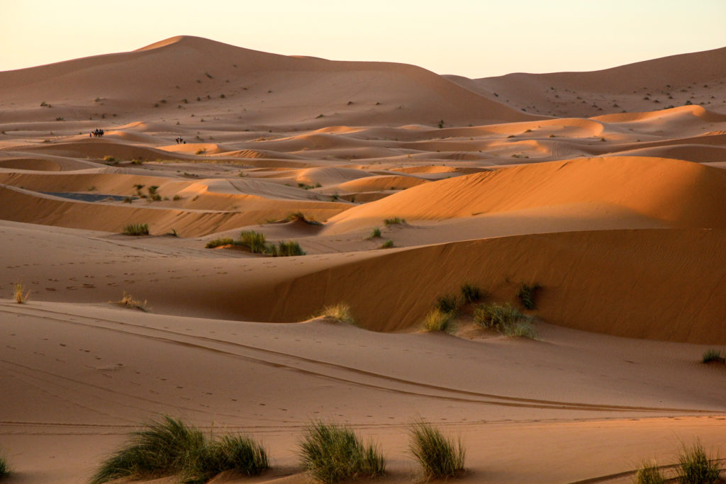 Les Temps du Sud circuit avec chauffeur Maroc