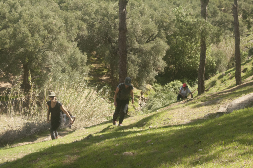 Randonnée dans les Contreforts d'Agadir Tassaoute
