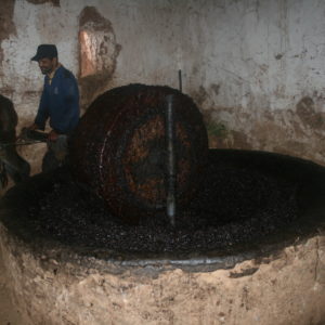 Randonnée dans les Contreforts d'Agadir Tassaoute