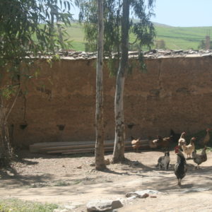 Randonnée dans les Contreforts d'Agadir Tassaoute