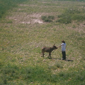 Randonnée dans les Contreforts d'Agadir Tassaoute