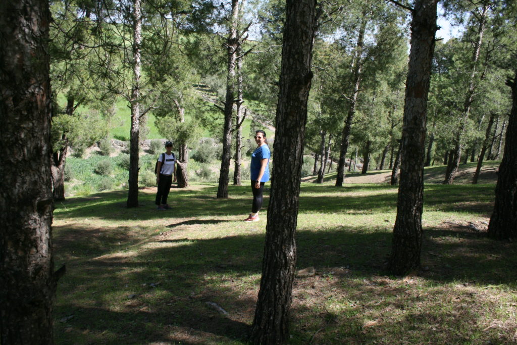 Randonnée dans les Contreforts d'Agadir Tassaoute