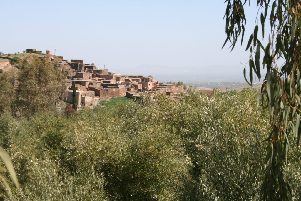 Randonnée dans les Contreforts d'Agadir Tassaoute