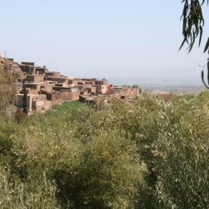 Randonnée dans les Contreforts d'Agadir Tassaoute