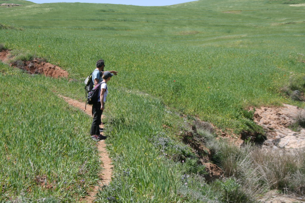 Randonnée dans les Contreforts d'Agadir Tassaoute