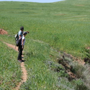 Randonnée dans les Contreforts d'Agadir Tassaoute