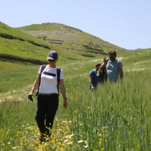 Randonnée dans les Contreforts d'Agadir Tassaoute