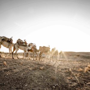 Spécial Aïd Al KEBIR à Terre des Etoile Agafay